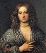 Girolamo Forabosco Portrait of a Woman oil